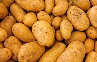 户外土豆爆料怎么做视频,视频制作攻略全解析  第2张